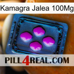 Kamagra Jelly 100Mg